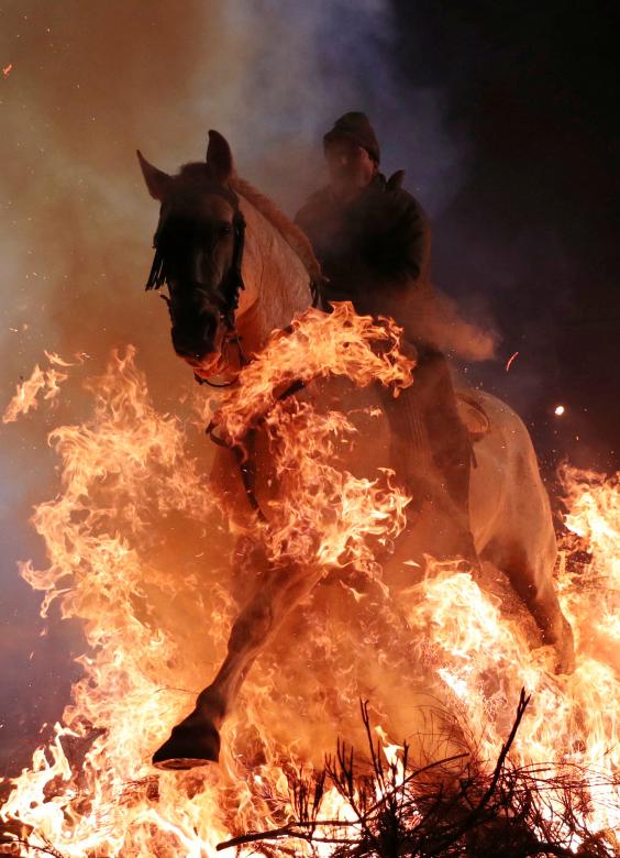 آیین مذهبی عبور اسب‌ها از آتش در اسپانیا + تصاویر