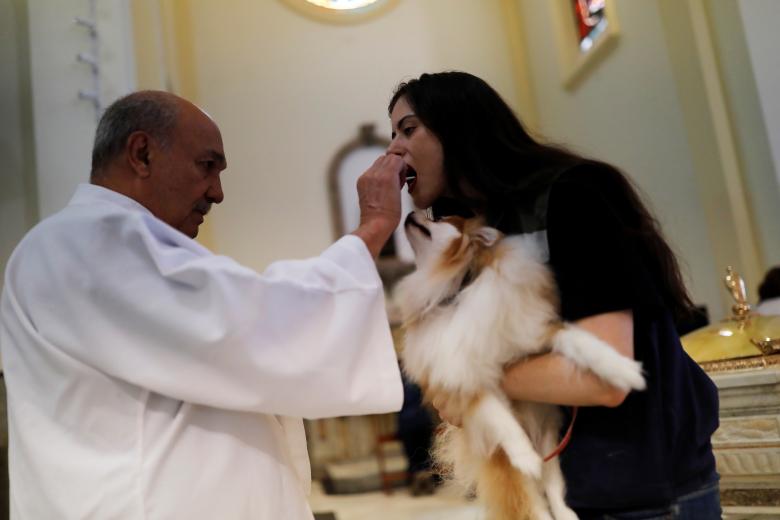 آیین عجیب؛ روز تبرک حیوانات در کلیسا