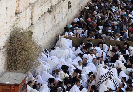هجوم هزاران یهود ارتدوکس به دیوار ندبه برای نیایش «کوهانیم»+تصاویر