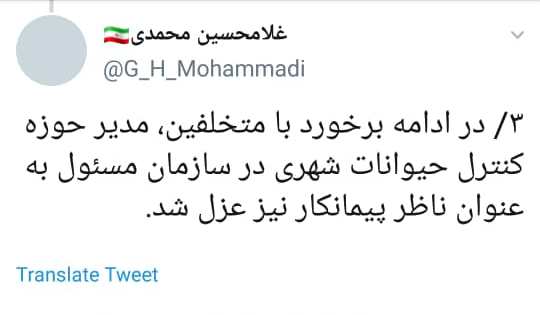 فیلم سگکشی برای سال 96 است/ پیمانکار متخلف عزل شد فیلم سگکشی برای سال 96 است/ پیمانکار متخلف عزل شد