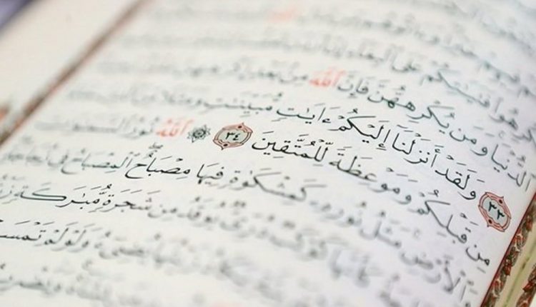 اهمیت و عوامل توسعه کشاورزی از دیدگاه قرآن