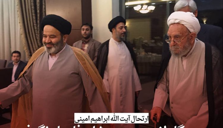 سید ابوالحسن نواب و آیت الله امینی