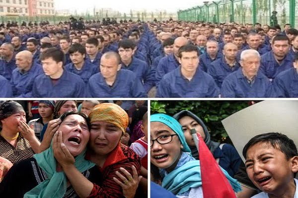 نسل کشی مسلمانان چین