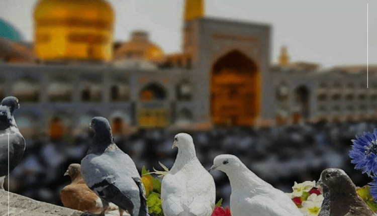 3- اجاره روزانه خانه مبله در مشهد با پروتکل های بهداشتی لوکس ویلا