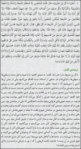 هجمه‌ی شدید منصور هاشمی علیه شیعیان