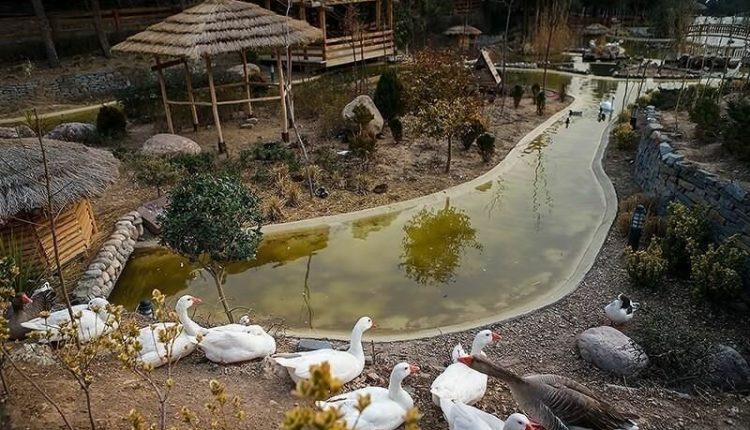 احداث باغ پرندگان در قم