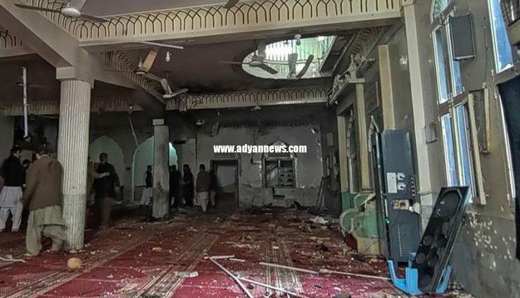 انجمن دفاع از قربانیان تروریستی