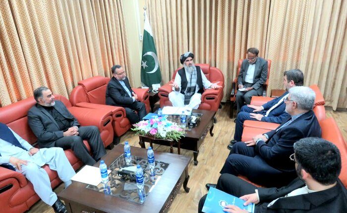 حقوق مسلمانان و پاکستان