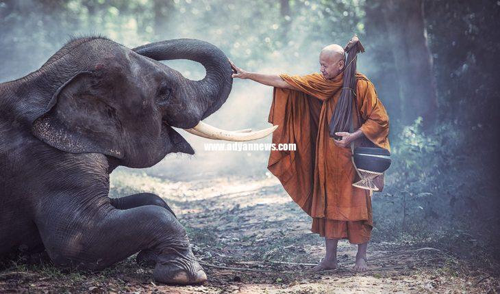 تیک نات هان راهب بودایی