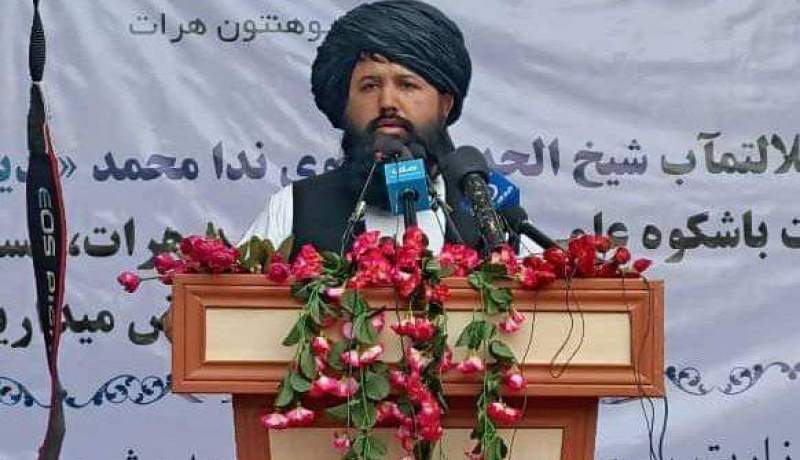 وزیر تحصیلات عالی طالبان