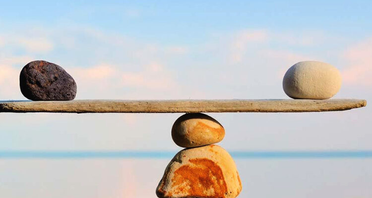 فقه+المقاصد